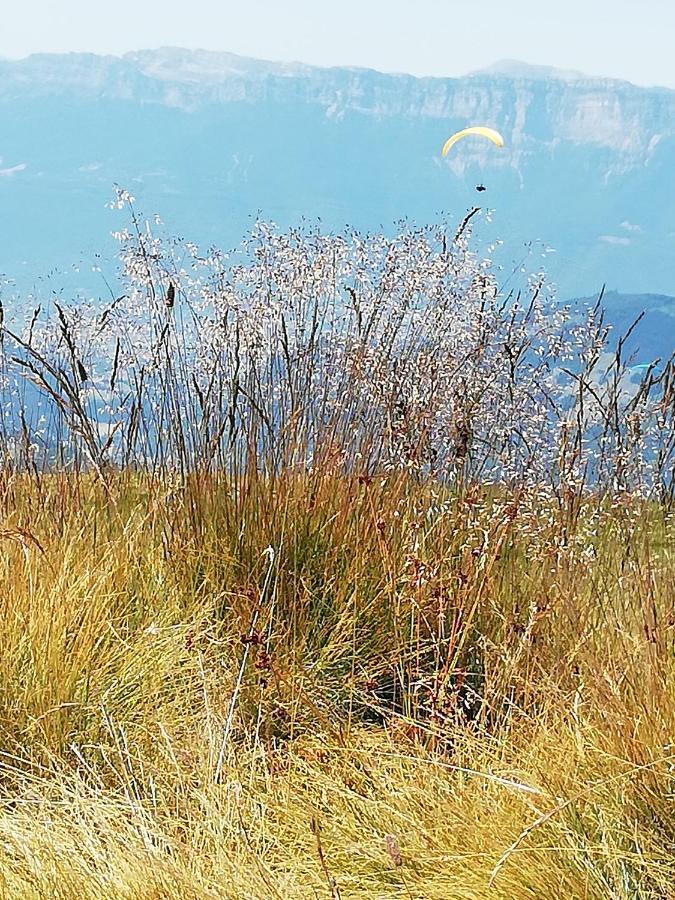 Studio Au Clos Des Gentianes Collet D'Allevard Διαμέρισμα Εξωτερικό φωτογραφία